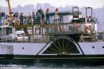ID 6475 WAVERLEY (1947/693/gt/IMO 5386954) - the world's last ocean-going paddle steamer. Built on the Clyde she replaced the original Waverley which was sunk during the evacuation of WWII allied troops at...